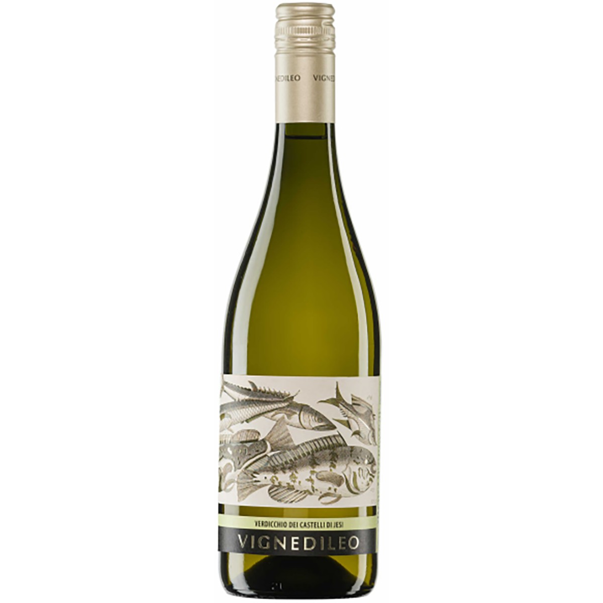 Verdicchio Classico Superiore DOC 2022 12x750