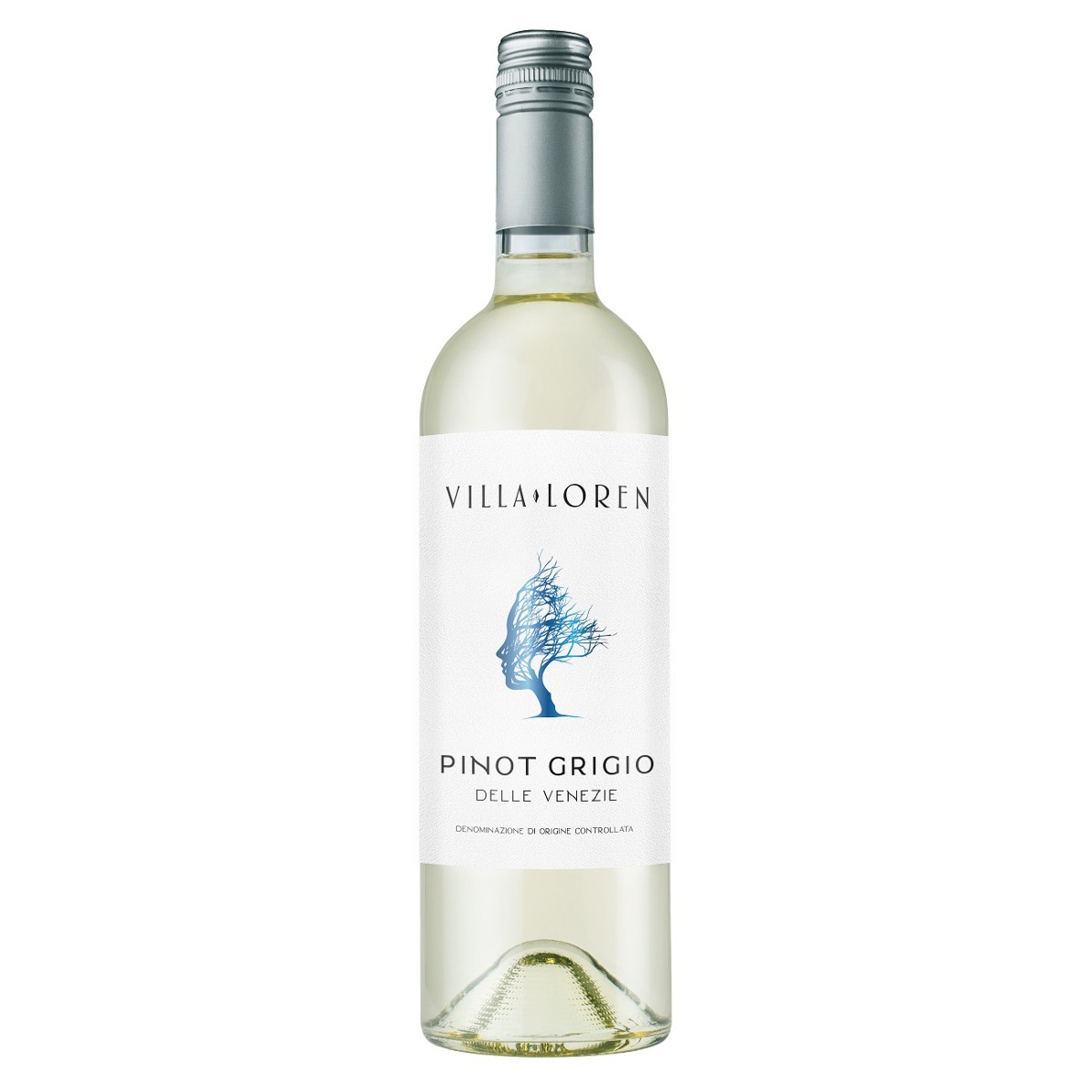 Pinot Grigio Delle Venezie "Villa Loren"
2024   12x750